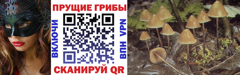 где найти   Ветлуга  Галлюциногенные грибы мухоморы 
